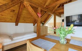 Apartmány Mezivodí